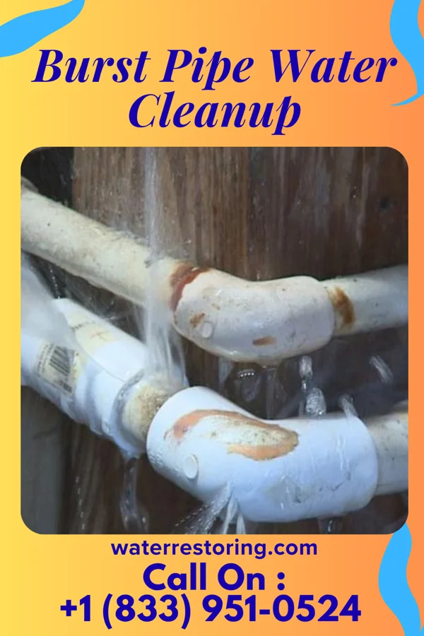 Burst Pipe Water Cleanup in Holiday Valley, OH