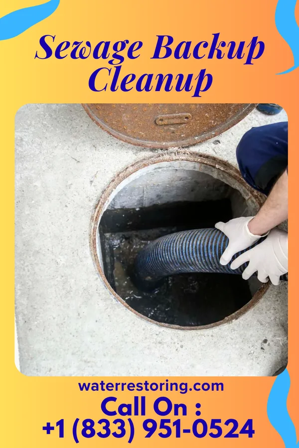 Sewage Backup Cleanup in Holiday Valley, OH